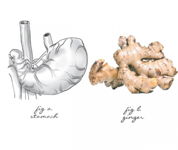 
 Невероятное сходство: продукты, полезные для органов и похожие на них

