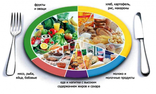 
 Топ-7 фактов о раздельном питании и совместимости продуктов
