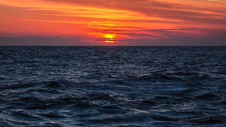 Ученые предупредили о серьезной катастрофе в Черном море