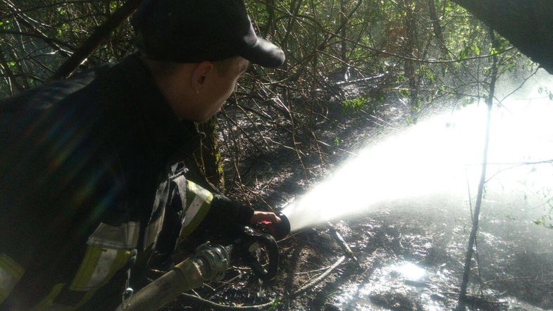 Подробности пожара на Трухановом острове в Киеве (ФОТО)