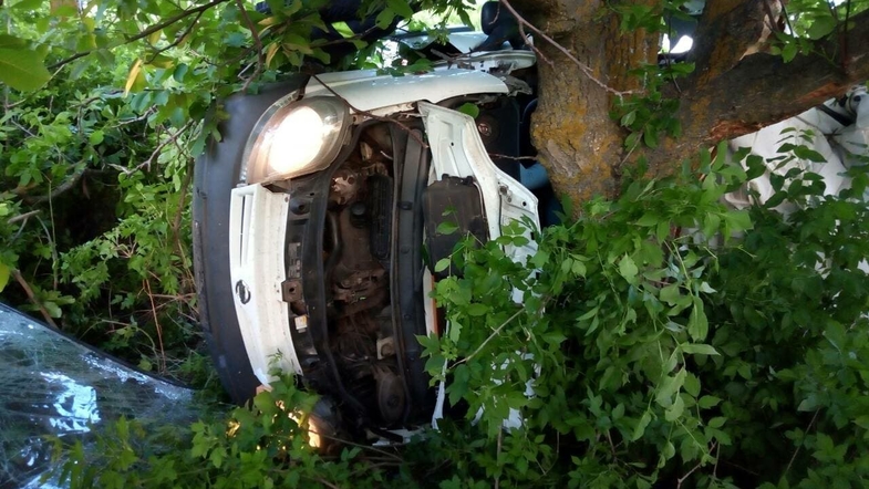 Под Николаевом микроавтобус влетел в дерево, погибли пять человек