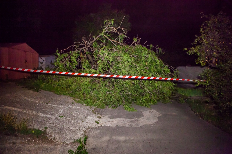 Буря в Украине: затопленный Чернигов, Запорожье без интернета, поваленные деревья в Днепре