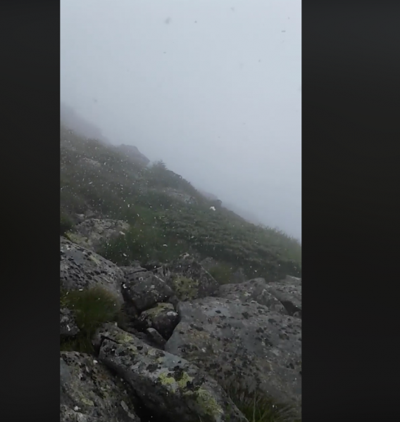 В Закарпатье в июле выпал снег. Видео