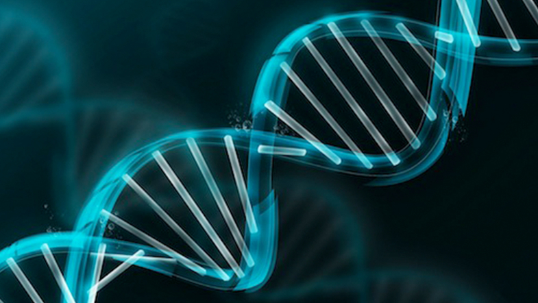 Генетика влияет на решение при поступлении в ВУЗ - ученые
