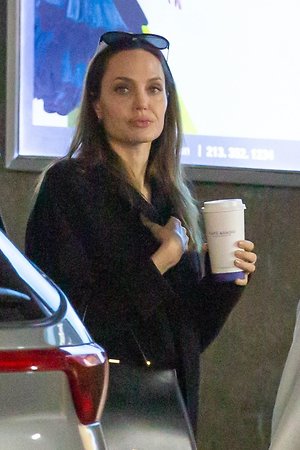 Анджелина Джоли готовится нанести решающий удар по Брэду Питту  
