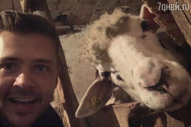 «Вот овца!» Милош Бикович обнародовал фото с новой подругой